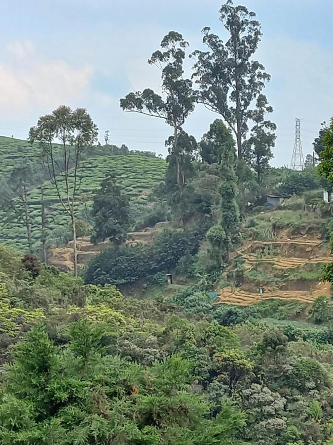 Lake Breeze Nuwara Eliya Eksteriør billede